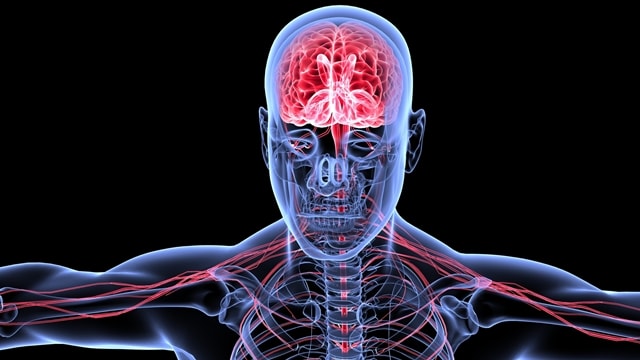 Depositphotos 471211804 L