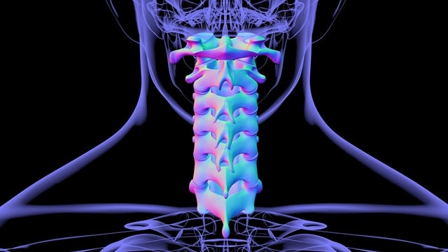 Depositphotos 483448152 L