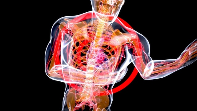 Depositphotos 614480756 L