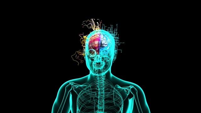 Depositphotos 614480792 L