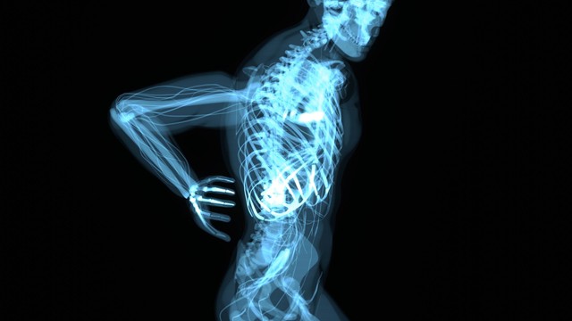 Depositphotos 616587008 L