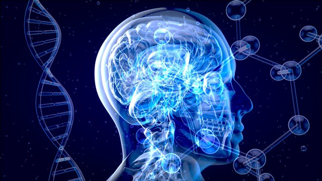 Depositphotos 616587244 L