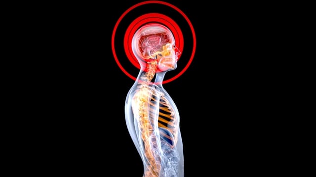 Depositphotos 616587482 L